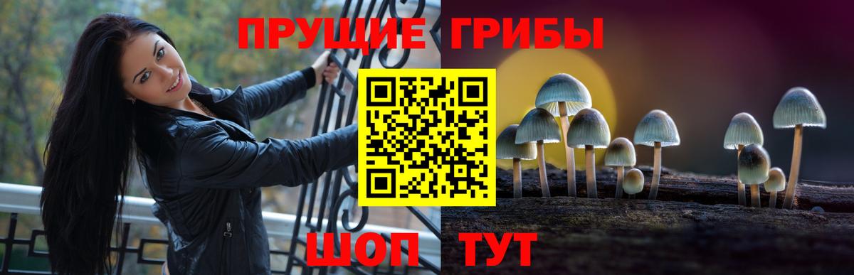 Сальск  Галлюциногенные грибы Psilocybe  Галлюциногенные грибы Psilocybine cubensis  Вход с VPN 