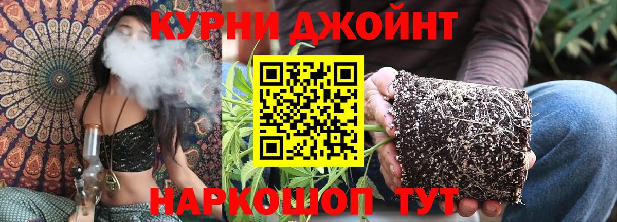 Бошки Шишки LSD WEED  Вход с VPN  Марихуана SATIVA & INDICA  Сальск  МАРИХУАНА ГИДРОПОН 